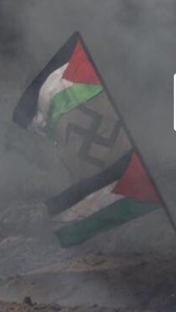 Nazi Pal flag IMG_20180407_141330